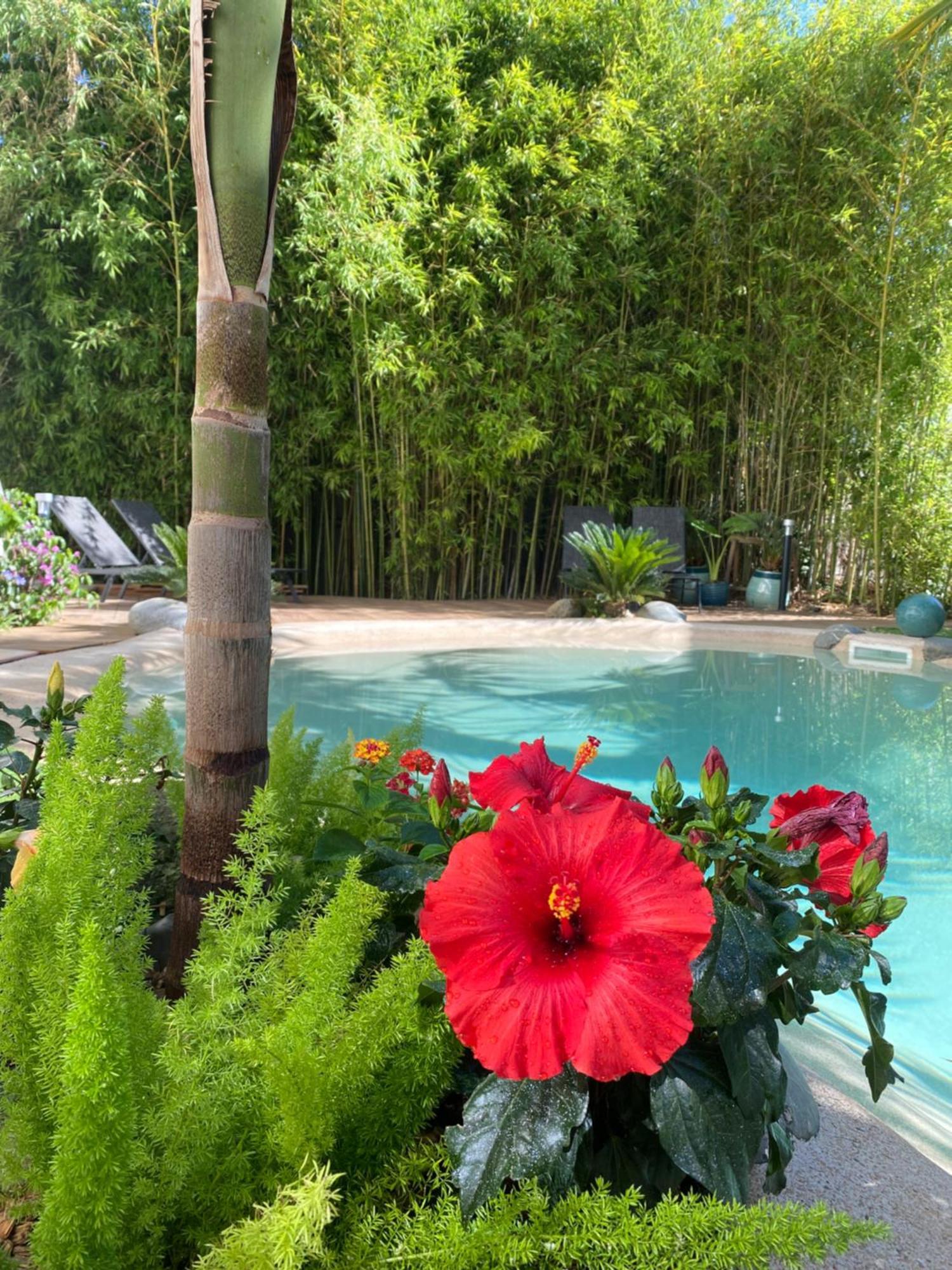 Апартаменты Appt Ambiance Boheme 2 Ch Piscine Lagon Тарб Экстерьер фото